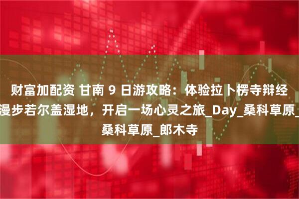 财富加配资 甘南 9 日游攻略：体验拉卜楞寺辩经文化，漫步若尔盖湿地，开启一场心灵之旅_Day_桑科草原_郎木寺