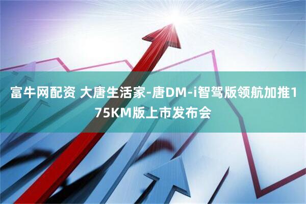 富牛网配资 大唐生活家-唐DM-i智驾版领航加推175KM版上市发布会
